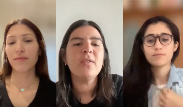 CRYPTONIKAS DAO en FROW Coolture