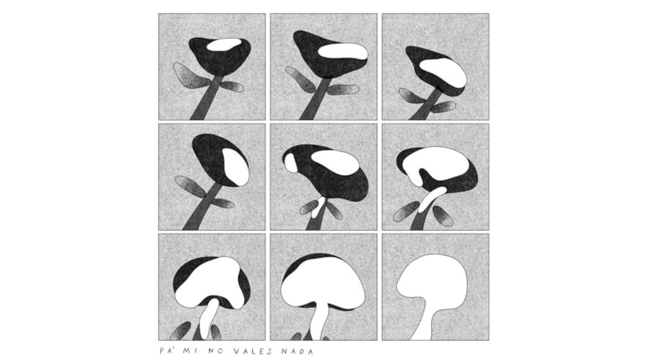 Telebit lanza en FROW Coolture