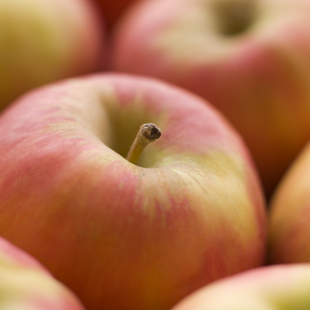 manzanas francesas en FROW Coolture