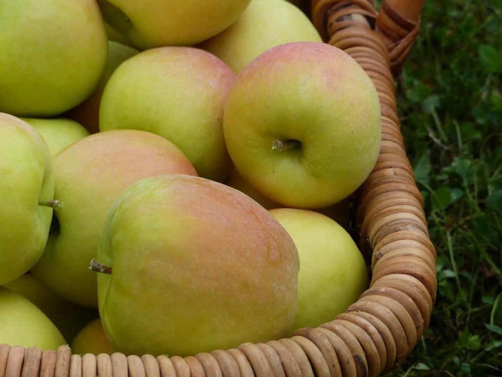 Interfel en FROW Coolture